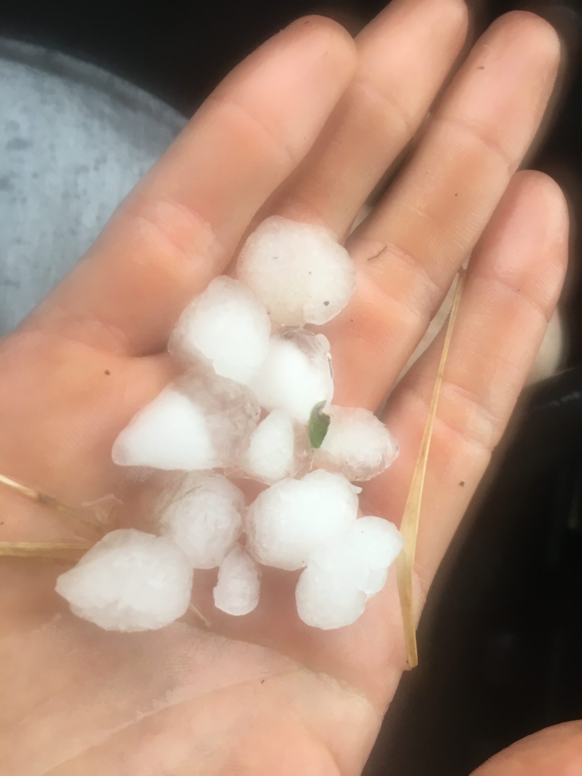 30_06_21 Hagel